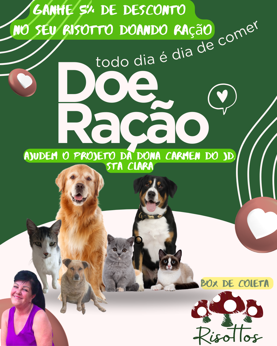 campanha sta clara dogs